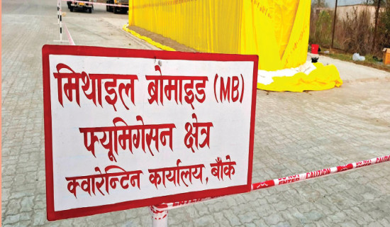 Nation's first Methyl bromide fumigation begins