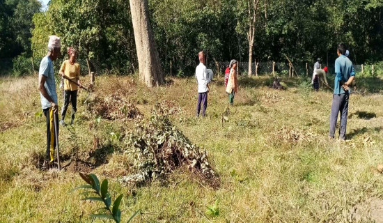 Barren Banke areas become green landscape