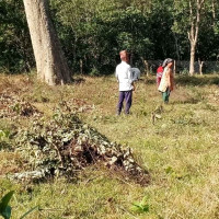 First-ever special camp on social security service in Oman, 215 Nepalis benefitted