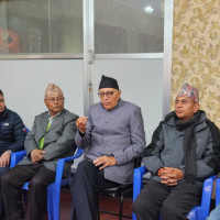 Burmese python spotted in Letang forest rescued