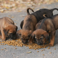 Limit Aid Dependency