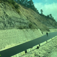 PM Prachanda for restoring direct flights between Russia and Nepal