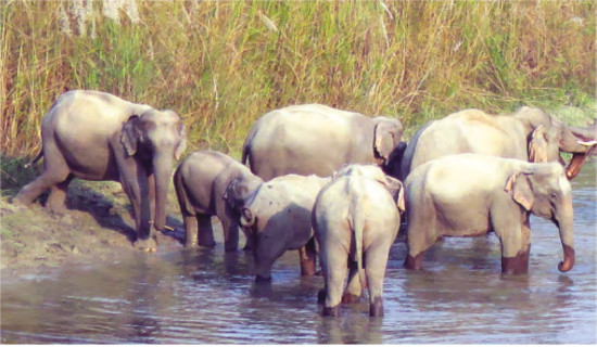 Rise of right wing in India and Sino-Indian relations