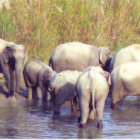 At least 41 dead as passenger coach falls into ravine in Pakistan