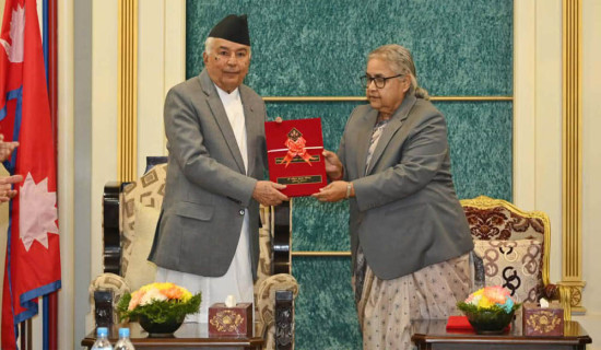 Export sees 46% growth