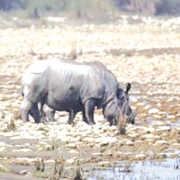Weather: Possibility of light to moderate rain at some places