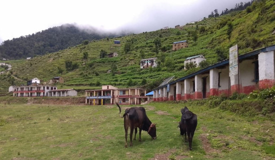 Maternal health access transforms Mumbra