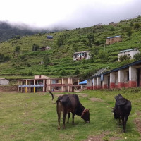 Chinese delegation calls on Vice-President Yadav