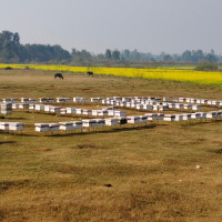 Chinese delegation calls on Vice-President Yadav