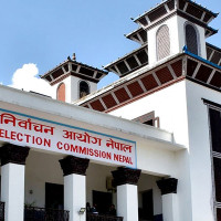 Free medicine to self-reliant economy in fringe parties' manifestos