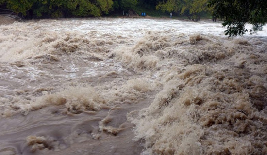 Chinese researchers advance understanding of mechanisms behind allergic diseases