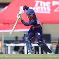 List of passengers of crashed Saurya Airlines