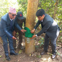 Air India flight makes emergency landing in Thailand after bomb threat