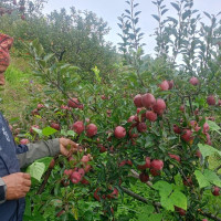 Second phase vaccination for children aged 5-12 from Aug 21