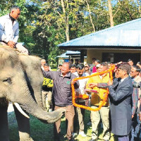 Enhancing Water Management  For Food Production