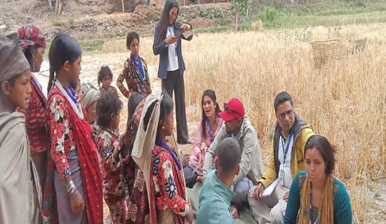 Raute adolescent girls face rising digital violence