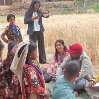 FDB honours 25 highest-grossing films