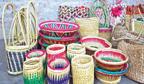 Decades on, directives to use domestic goods in govt offices remain spurned