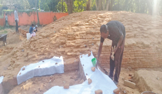 26 goats perish after flash flood, mudslide buries shed in Humla