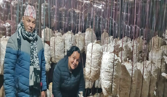 Woman turns mushrooms into millions