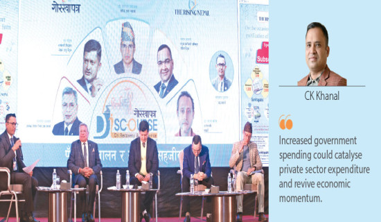 Policy Stability, Public Spending Unlocks Excess Liquidity