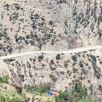 Wild elephants continue to wreck houses, damage crops in Jhapa