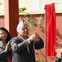 Plane flew in Nepal two years before Wright brothers invented it: VP Pun
