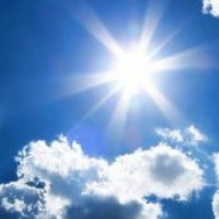 Elephant damages house of journo