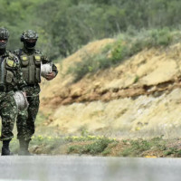 COP16: key issues at UN biodiversity conference