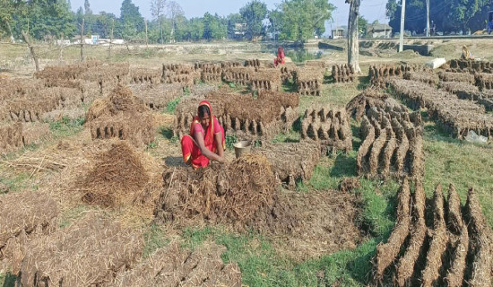 Manaslu avalanche: Home Ministry urges people near Budhigandaki to remain vigilant