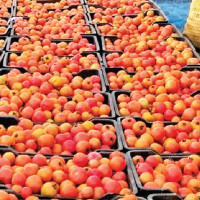 Tatopani-Ghansa section of Kaligandaki Corridor Highway upgraded