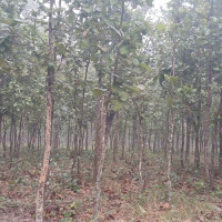 Trump faces revised 2020 election interference charges