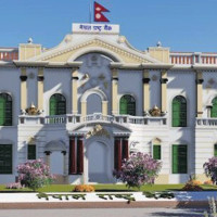 Farmers busy harvesting paddy as weather improves