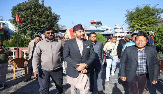 Remittance increases 16.5 per cent