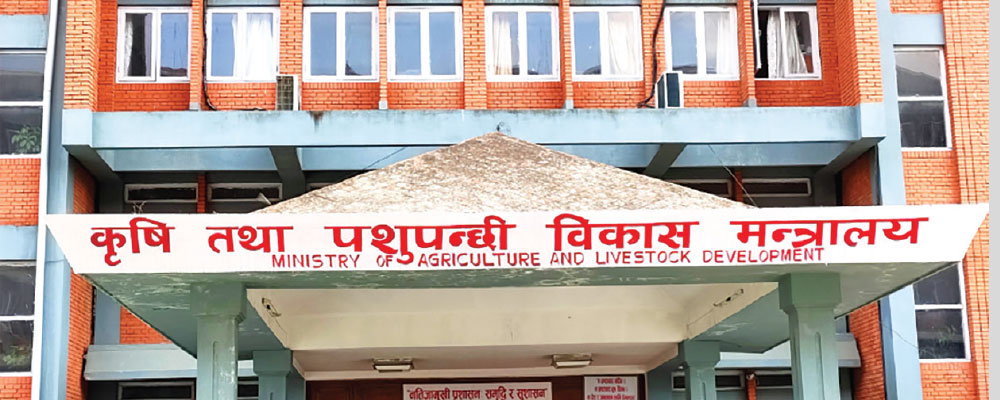 Govt fixes prices of seeds and crops