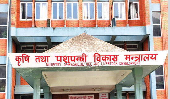 Govt fixes prices of seeds and crops