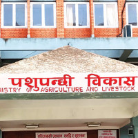 Farmers getting drawn to mulching technology