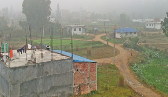 Cold wave continues to affect Tarai life