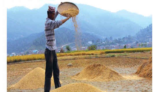 Around 58 per cent farmers enlisted under Farmer Registration Programme