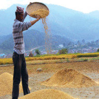 Fog expected in Tarai region today