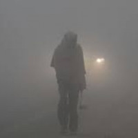 Task Force urges NRB to revive concessional loan schemes