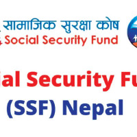 Processed buffalo meat worth USD 1.5 billion to be exported to China annually