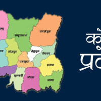 Tourists make beeline at Bardiya National Park to see tiger in the wild