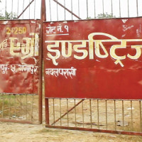 Production of fish, milk up in Madhes Province