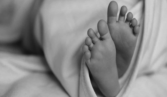 Child dies after falling from house railing