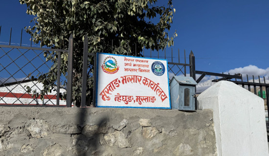 Mustang Custom collected five billion revenue