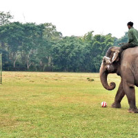 World Tourism Day marked across country