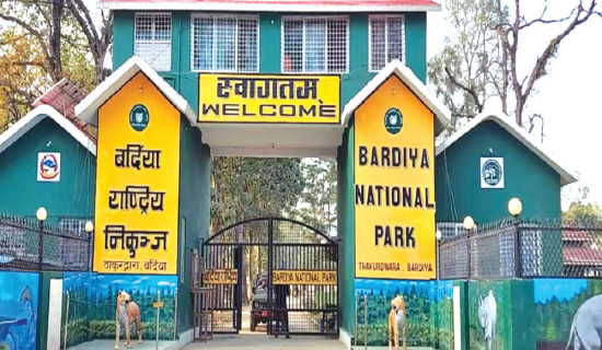 Tiger census begins in Bardiya, Banke and Dang