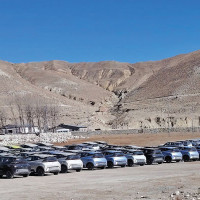 Involving elephants in sports is normal: Experts