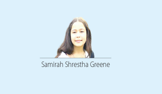 Lumbini govt to keep subordinate bodies standby to respond possible disasters